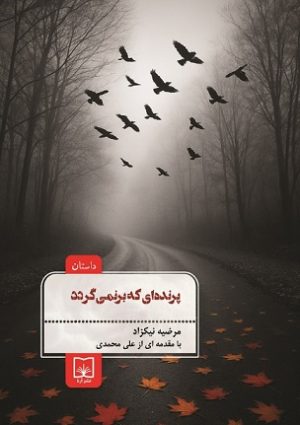 پرنده‌ای که برنمی‌گردد